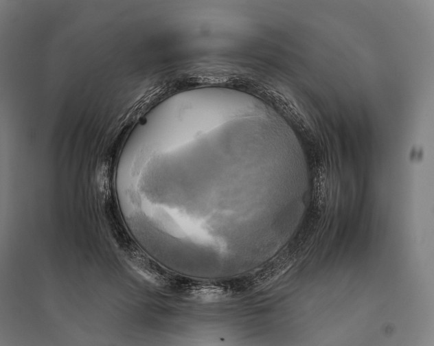 X0000095120598200712301802