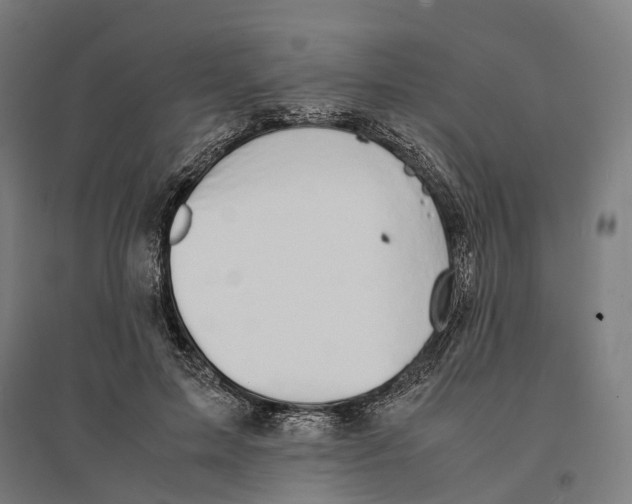 X0000095120599200712301802