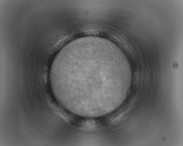 X0000095120600200712301802