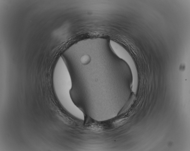 X0000095120601200712301802