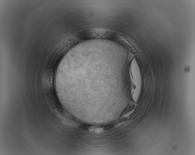 X0000095120602200712301802