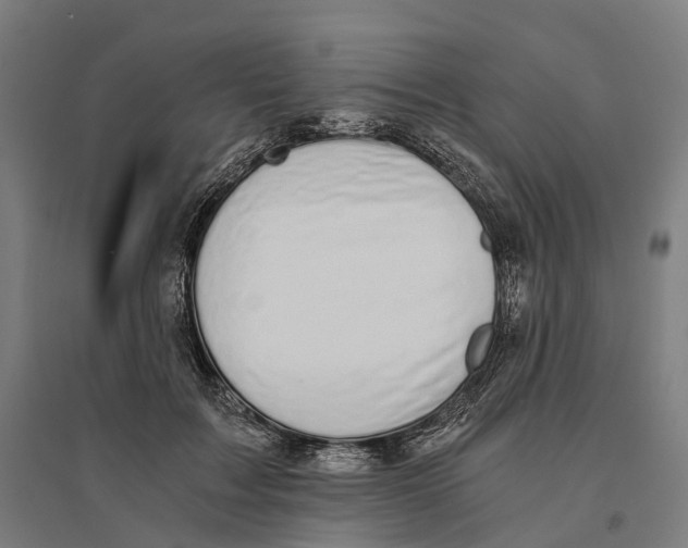 X0000095120603200712301802