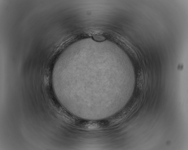 X0000095120604200712301802