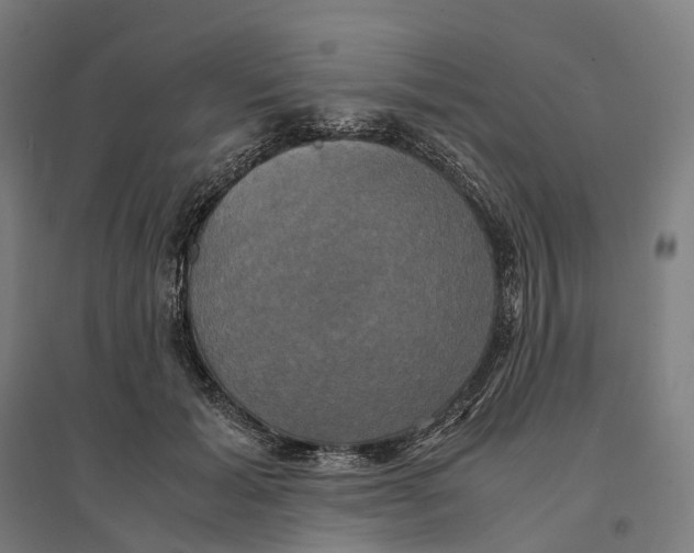 X0000095120605200712301802