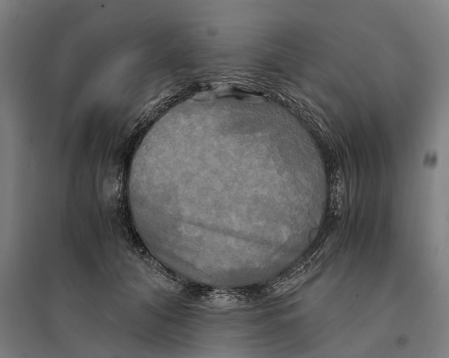 X0000095120608200712301802