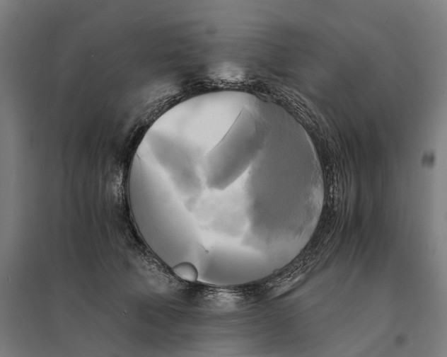 X0000095120610200712301802