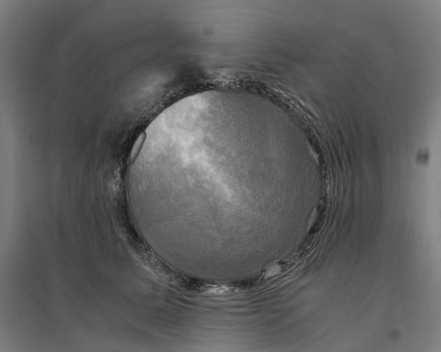 X0000095120611200712301802