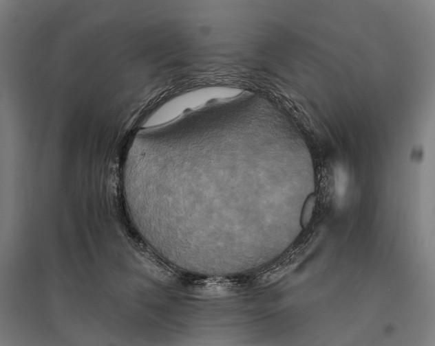 X0000095120612200712301802