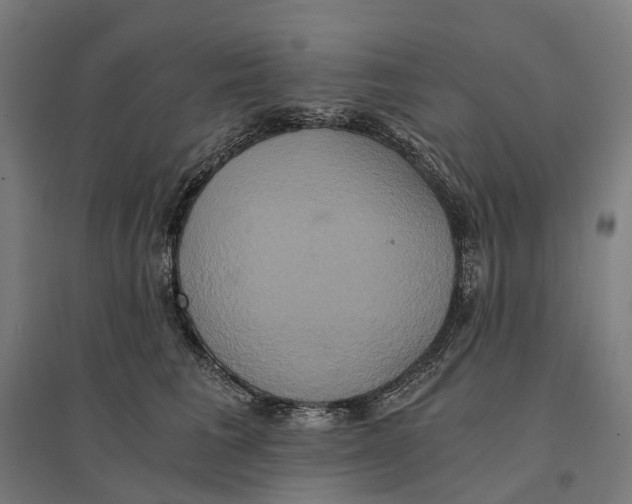 X0000095120613200712301802