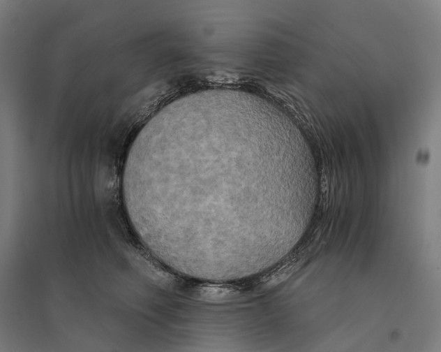 X0000095120614200712301802