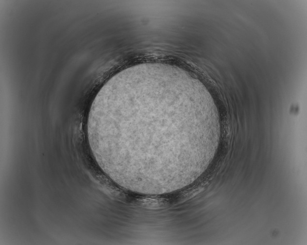 X0000095120615200712301802