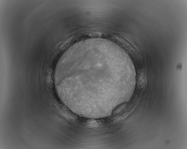 X0000095120616200712301802