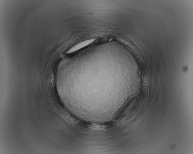 X0000095120617200712301802