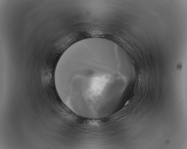 X0000095120618200712301802