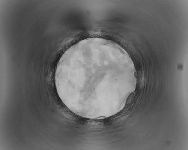 X0000095120619200712301802