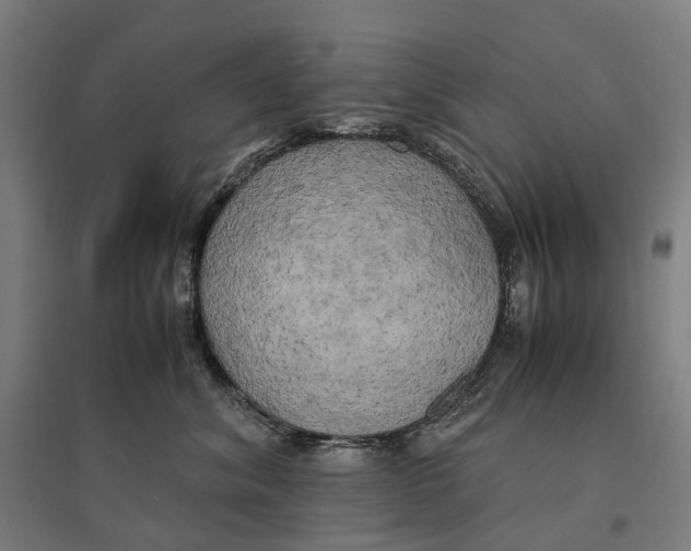 X0000095120620200712301802