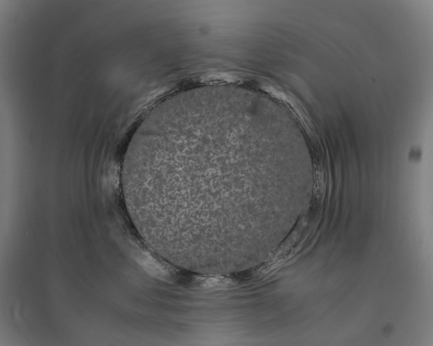 X0000095120621200712301802