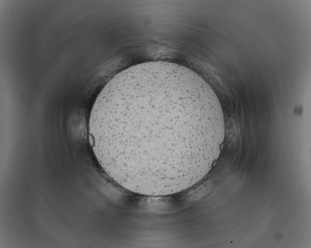 X0000095120622200712301802