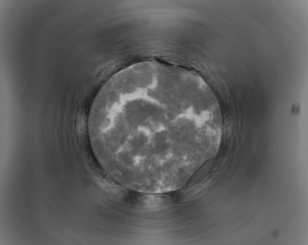 X0000095120623200712301802