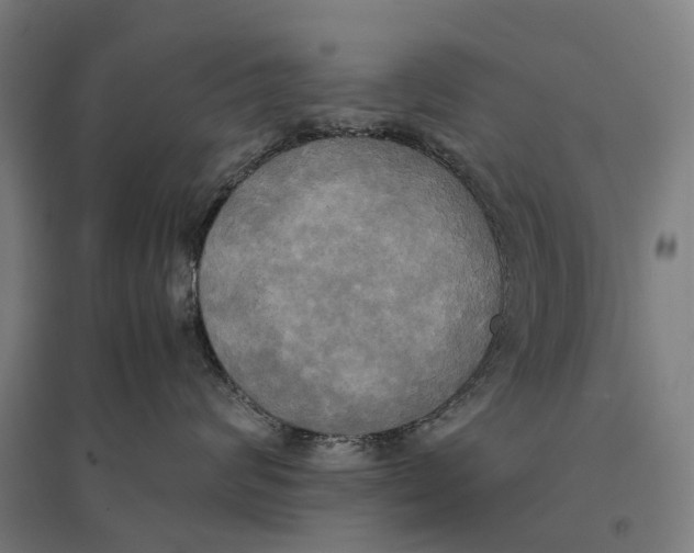 X0000095120624200712301802