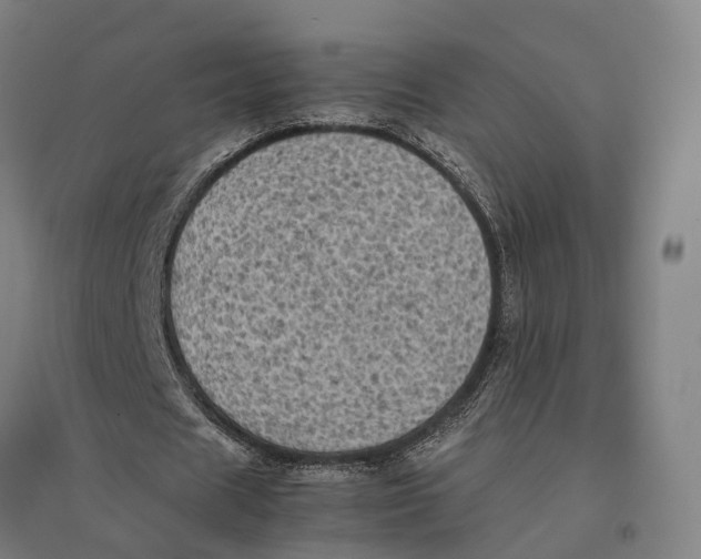 X0000095120625200712301801