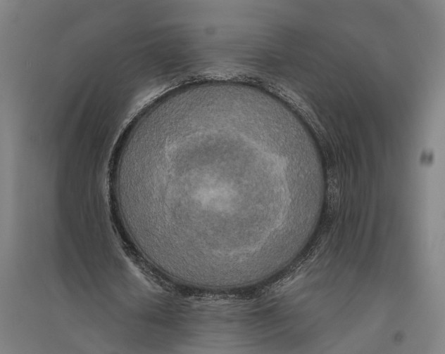 X0000095120626200712301801