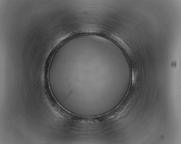 X0000095120627200712301801