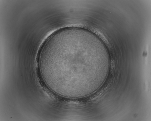 X0000095120628200712301801