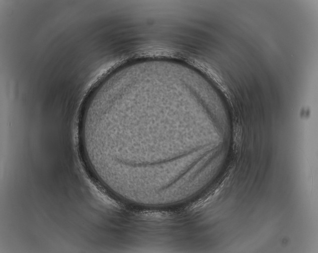 X0000095120629200712301801