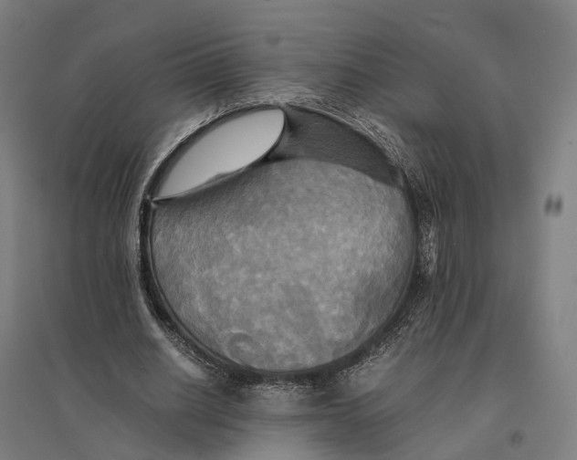 X0000095120630200712301801