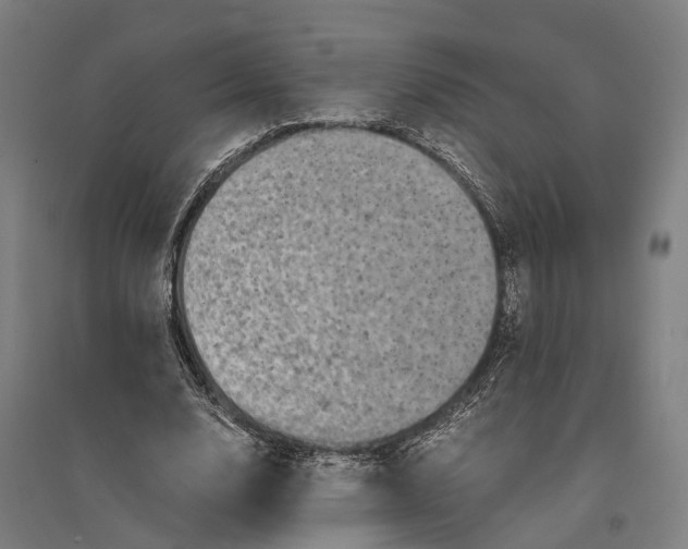 X0000095120632200712301801