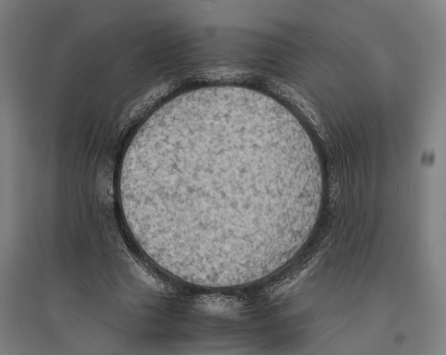 X0000095120633200712301801