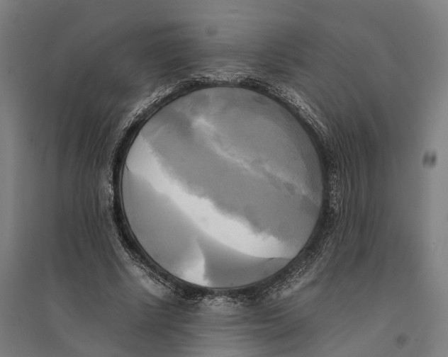 X0000095120634200712301801