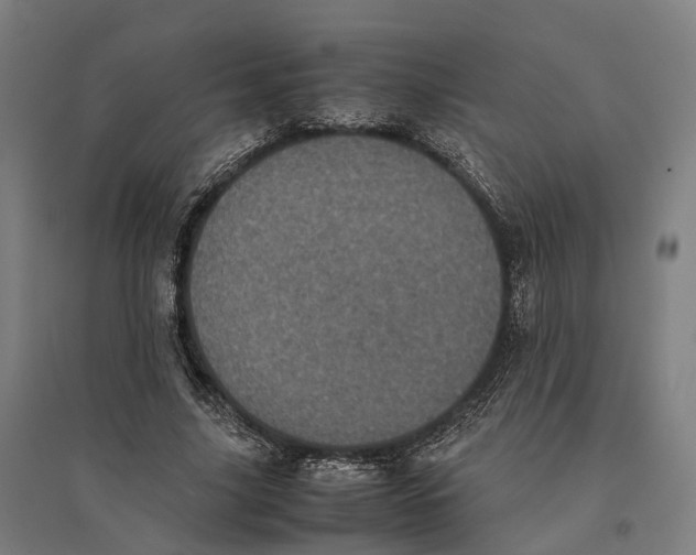 X0000095120635200712301801