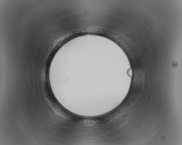 X0000095120636200712301801