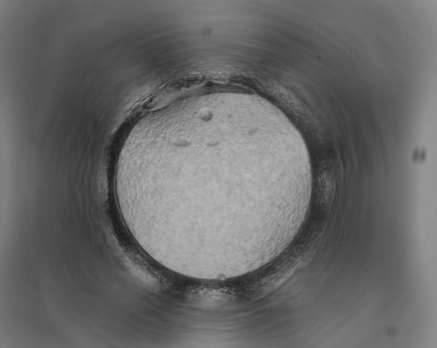 X0000095120638200712301801