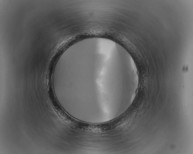 X0000095120640200712301801