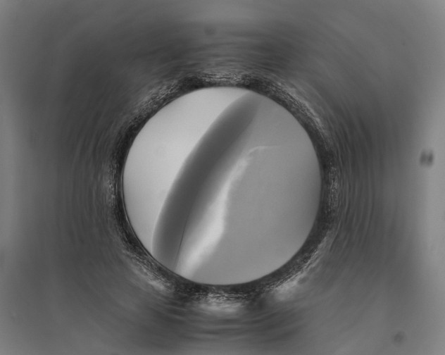 X0000095120641200712301801