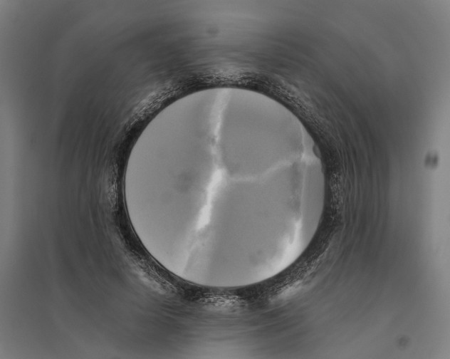 X0000095120642200712301801