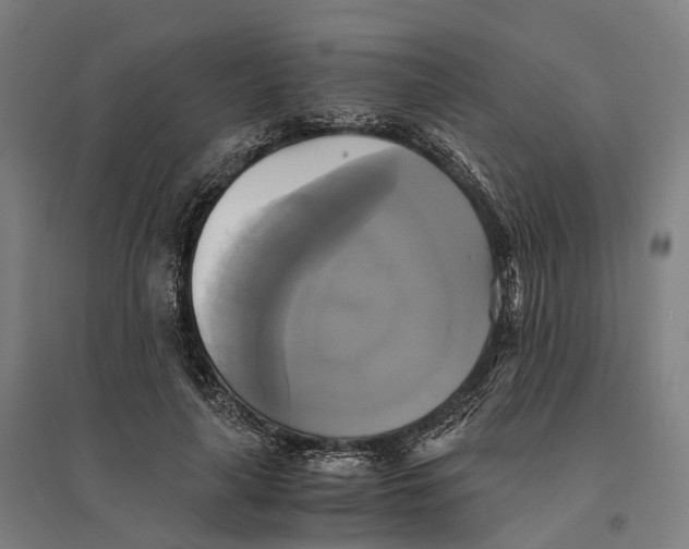 X0000095120643200712301801