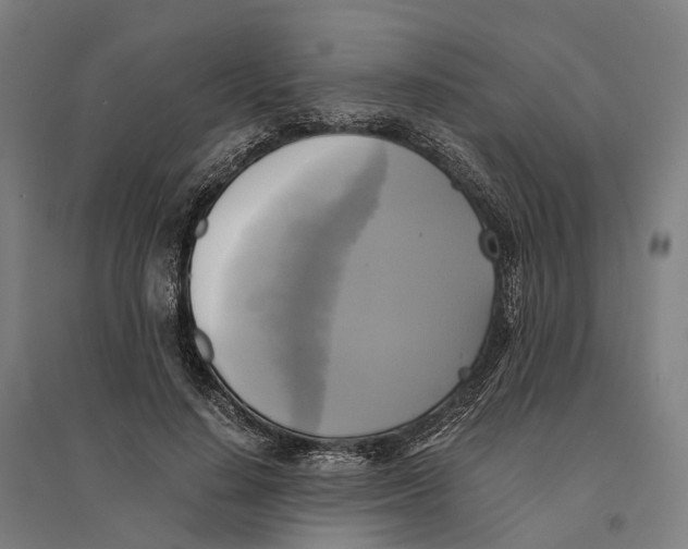 X0000095120644200712301801