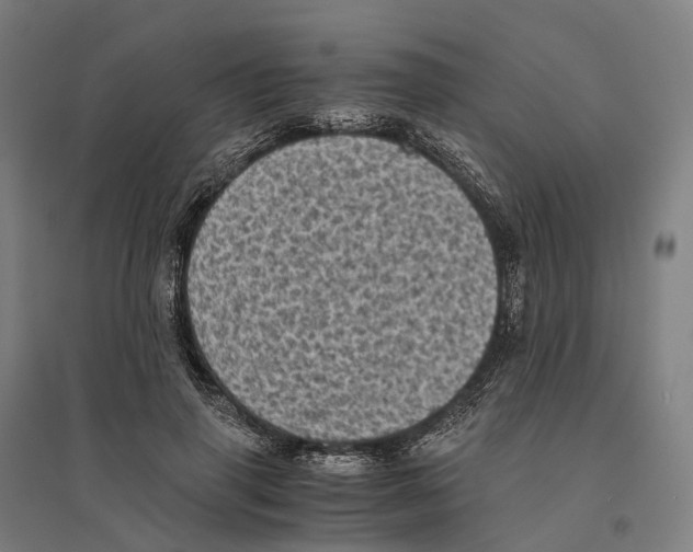 X0000095120645200712301801