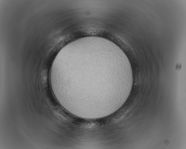 X0000095120646200712301801