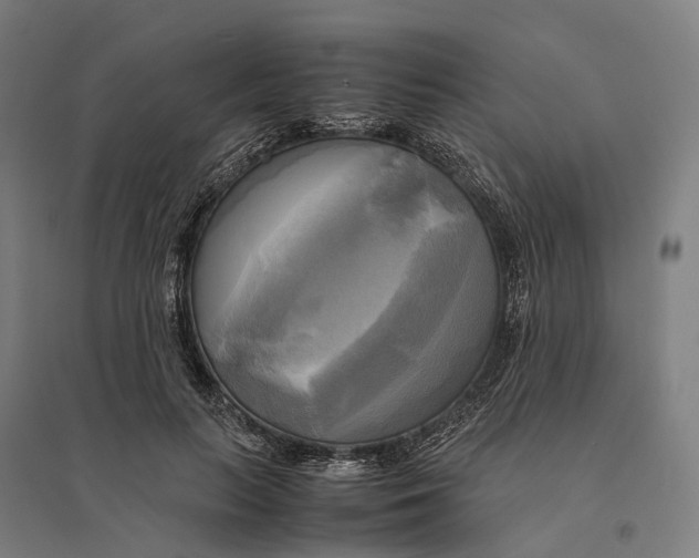 X0000095120647200712301801