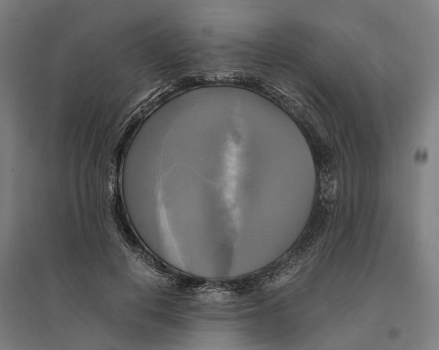 X0000095120648200712301801