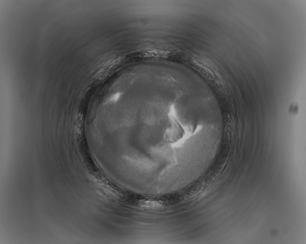 X0000095120649200712301801