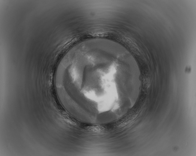 X0000095120652200712301801