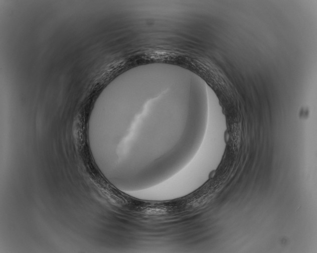 X0000095120653200712301801