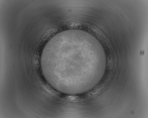 X0000095120654200712301801