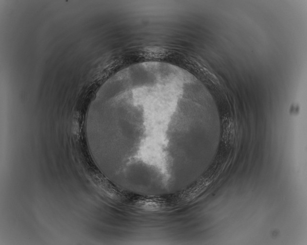 X0000095120655200712301801